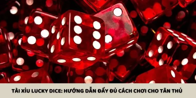 Tài Xỉu Lucky Dice: Hướng Dẫn Đầy Đủ Cách Chơi Cho Tân Thủ